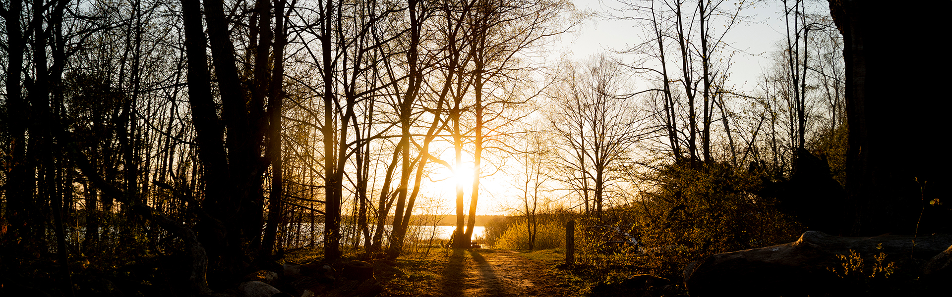 (c) shutterstock / the lounge, Berlin Wannsee